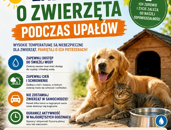 Jak dbać o zwierzęta w czasie upałów?