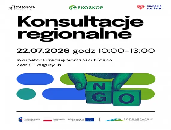Konsultacje regionalne na temat rozwoju NGO w Podkarpaciu